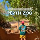 야생동물 멸종위기 친구들을 구해줘 | 호주여행 아이와 가볼만한곳 퍼스 동물원