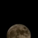 나일강의 한가위 보름달.. 이미지
