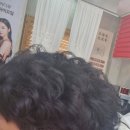 박마담 이미지