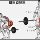 어라운드짐(Around Gym) 이미지