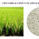 태인농장3 이미지