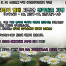 2015. 5. 31 (삼위일체주일, 가정천국주일) - 사랑의 열매 가득한 천국같은 가정 (눅15;11-32, 롬5;1-11. 고전13;1-13, 요한1서4;10-21) 이미지