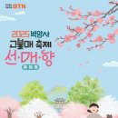 향이네 이미지
