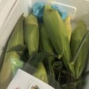 광인농장 이미지