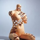 형상은 본질을 기억 이미지