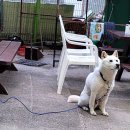 바다마루 민박 이미지