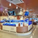 인어교주해적섬 FISH LOUNGE