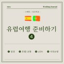 DA067 | [유럽여행 준비하기] 🇪🇸 스페인 / 🇵🇹 포르투갈 신혼 여행 준비 (트래블 월렛, 교통편, eSIM, 소매치기...