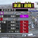 강진-20 이미지