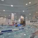 스위밍키즈 이미지