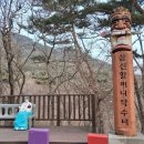 대이작_해양생태관 Daum카페