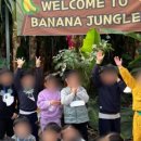 보성농장 이미지