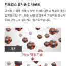 한국지엠 흥덕바로서비스 | 청주타이어 BMW X5 후륜 소음 원인 해결, 한국 S1 에보 Z AS X 교체 후기