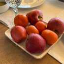 남부-4(삼성현중학교 뒤 공원) | [튀르키예#4] 튀르키예 남부 지중해 안탈리아 투어-칼레이치 구시가지,카라알리오울루공원,안탈리아 유람선