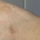 (주)아우성 | 스타벅스 근무 | 입사 두 달차 / 첫 리유저블 행사 후기 / 바마감 들어감!