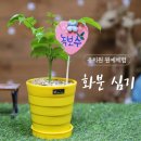 범일초등병설유치원 이미지