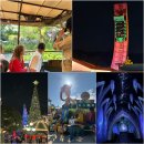 Jungle Cruise | 홍콩 3박4일 3일차 (디즈니랜드 하루 꽉 채우기)