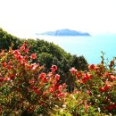 장사도해상공원 이미지