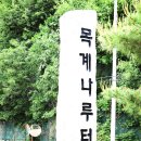 엄정초등학교 | 충주 엄정 목계나루 유채꽃밭