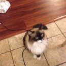 마루덴탈 이미지