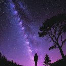 의외의 발견 <포맨트 코튼 디어 나잇> 내돈내산 상세 시향 후기
