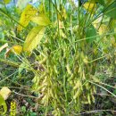 우람농장 이미지