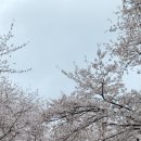 진주석유 - 2836 | 진주석유