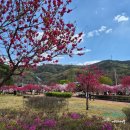 우곡보건지소 이미지