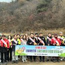 성주군 금수면 서울매일