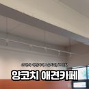 양코치 애견카페 이미지
