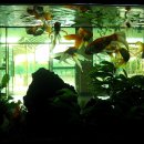 대현초등학교 이미지