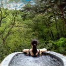 청송포레스트 이미지