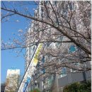 제주 스마일 이미지