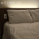 파루스셀라 성수 이미지