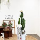 제이빌리아드 이미지