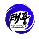용인대 태풍 태권도장 이미지
