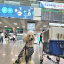 스테이모슬 이미지