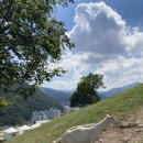 정화목장 이미지