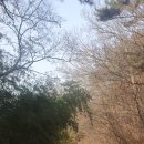 독골닭집 이미지