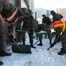 충성안전 이미지
