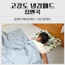 신진세탁 | 고강도 냉감패드 추천｜집앤콕 여름침대패드 사용 후기
