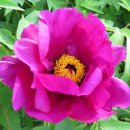 용산-이촌-272 이미지