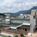 전남대학교 면역치료혁신센터 이미지