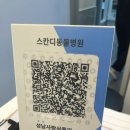 스칸디동물병원 이미지