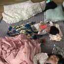 번개시장공용화장실 | 반반의 삶을 살았던, 5월 일상 사진 기록🍀