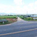 금암농장2 이미지