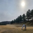 라운드3 | 초봄 시그너스CC 3월 라운드 후기⛳잔디 상태·코스 공략·그린 컨디션 솔직 리뷰