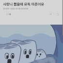 마로니에치과 이미지