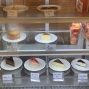 건이네 파충류 | 울산 이색 카페 아이들과 함께 [건이네파충류&amp;카페]에서 행복한 시간 보내기~ 0: