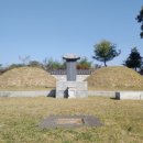 화완옹주 및 정치달 묘 이미지